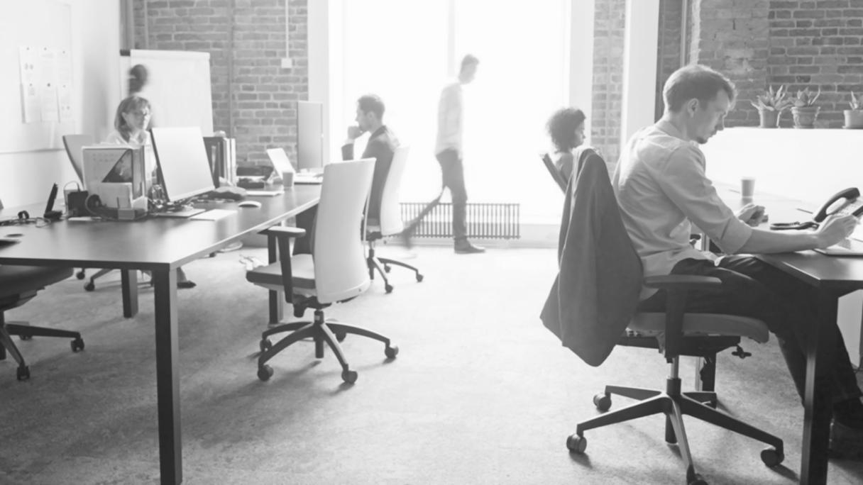 Expertengespräch über Investitionsgrundlagen